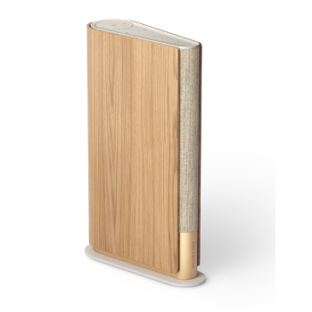 Bang & Olufsen Beosound Emerge Gold Tone